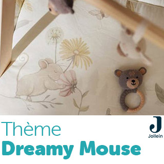 Thème Dreamy Mouse