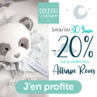 attrape reve doudou et cie