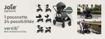 inglesina system darwin 